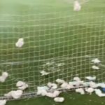 pampers pelene novi pazar zvezda