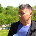 pomor pčela u bih