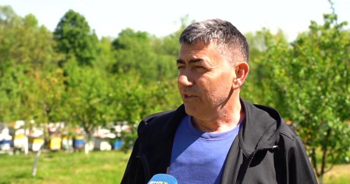 pomor pčela u bih