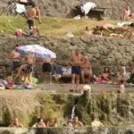 vrucina vrbas