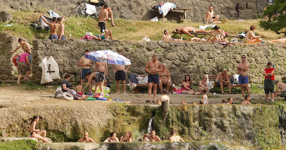 vrucina vrbas