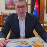 vucic sardine