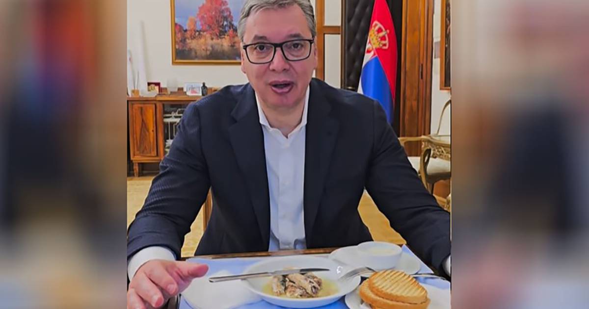 vucic sardine