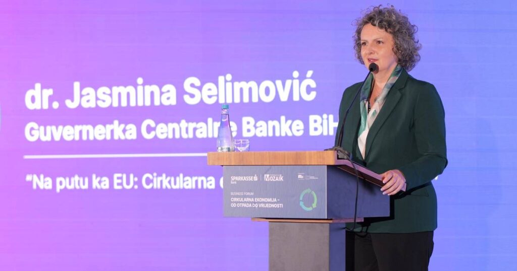 Jasmina Selimović, Guvernerka CBBiH 
