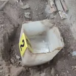 akcija zigi