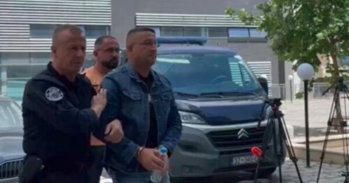aleksandar vlajić