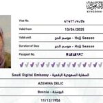 azemina delic