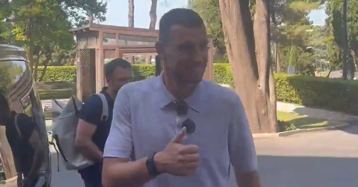 dzeko fiorentina