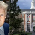 harvard trump