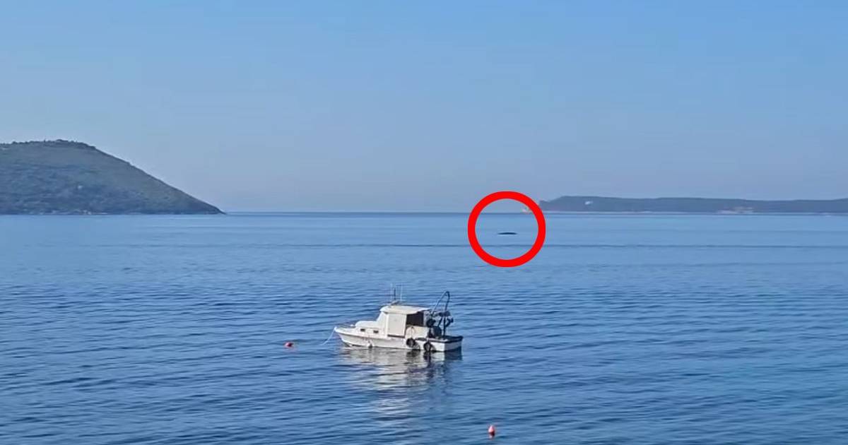 kit herceg novi