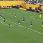palmeiras porto