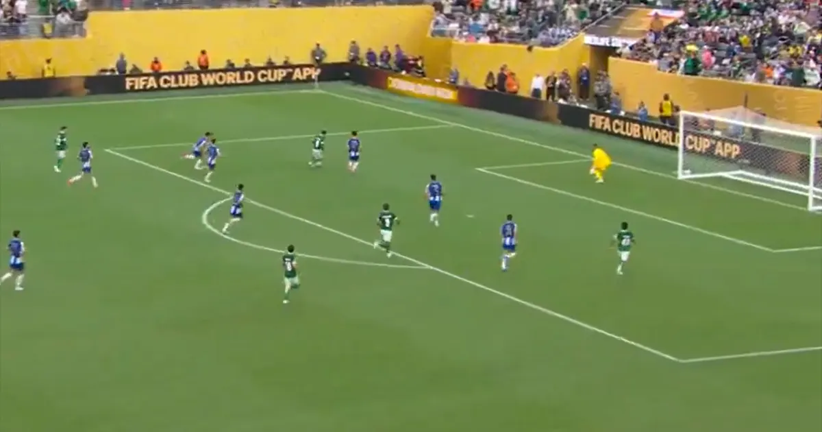 palmeiras porto