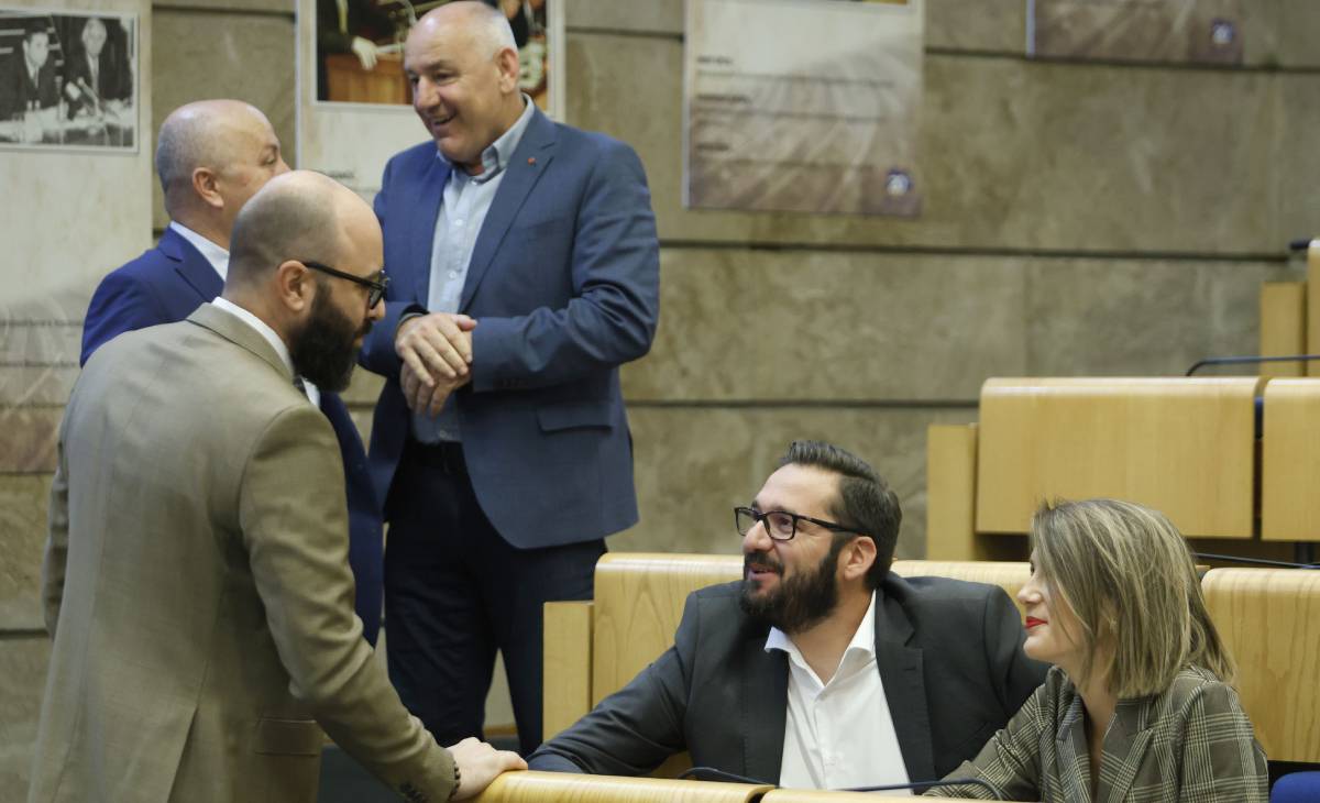 parlament fbih damir masic