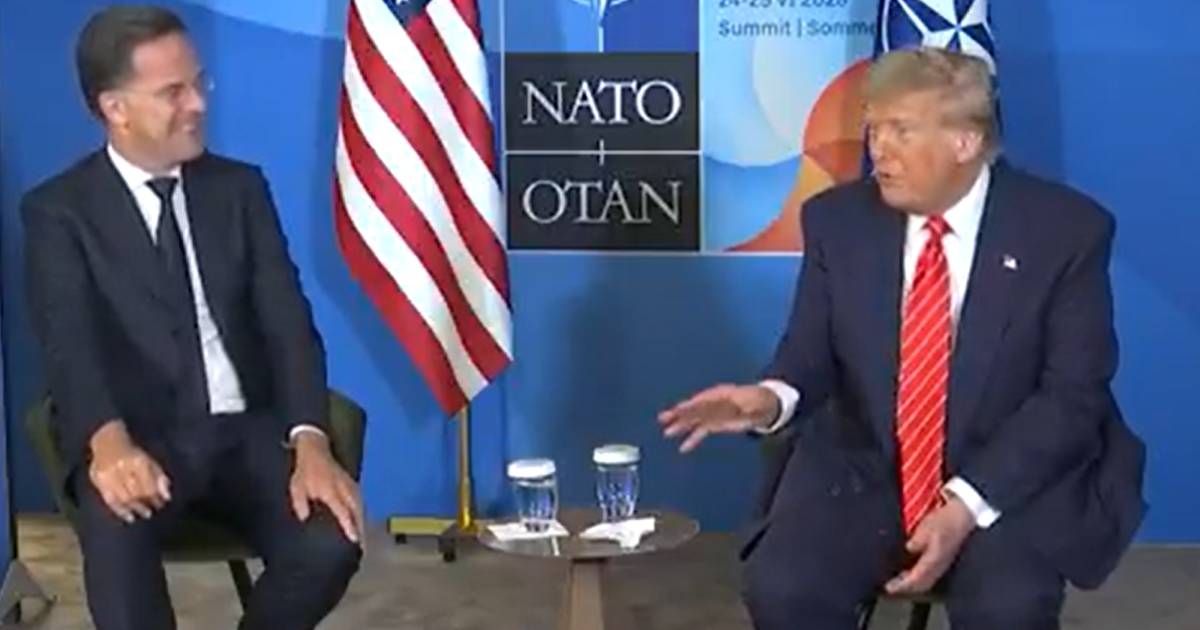 rutte trump