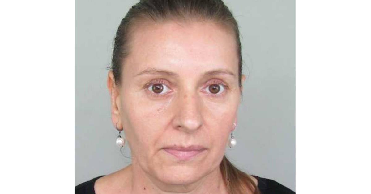 ružica nedinić