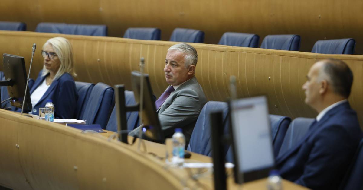 branislav borenovic