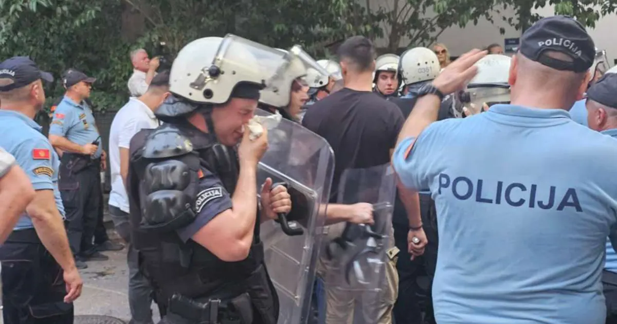 crna gora protesdtz
