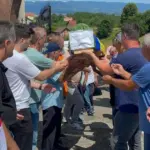 kolektivna dzenaza