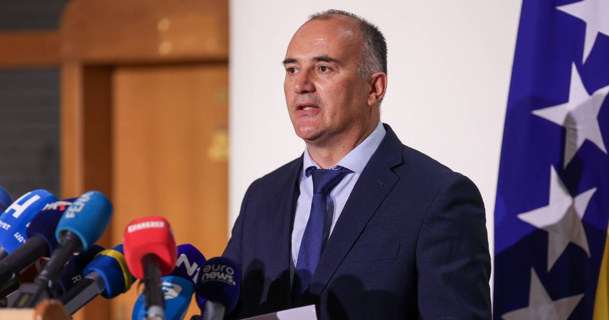 nenad grković