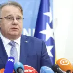 nermin niksic