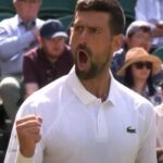 novak djokovic wimbledon