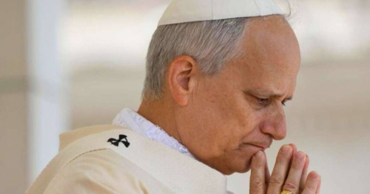 papa lav