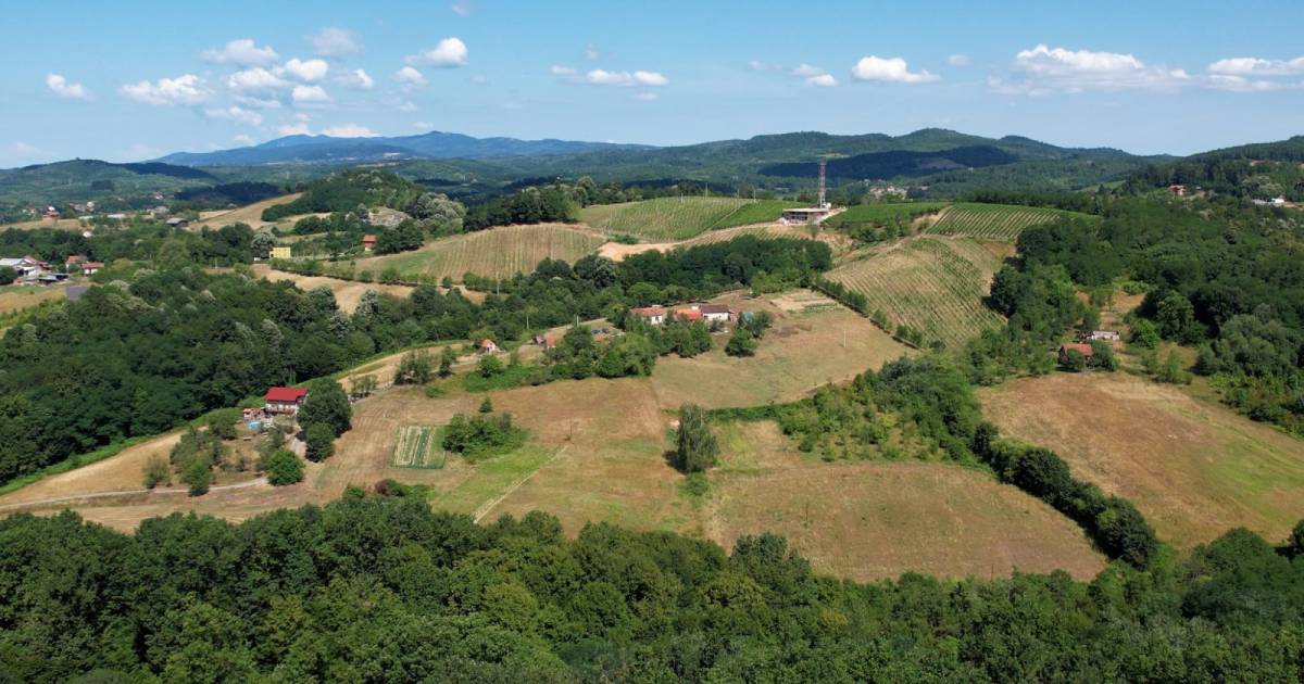 selo glamocani