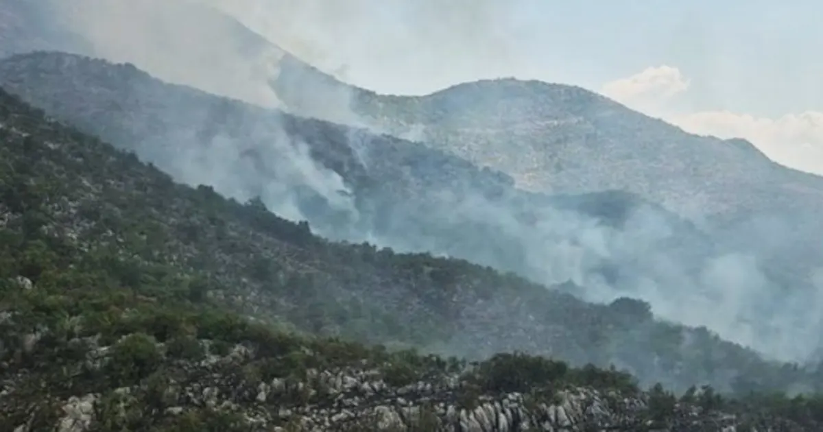 trebinje pozar