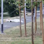 ubistvo zagreb
