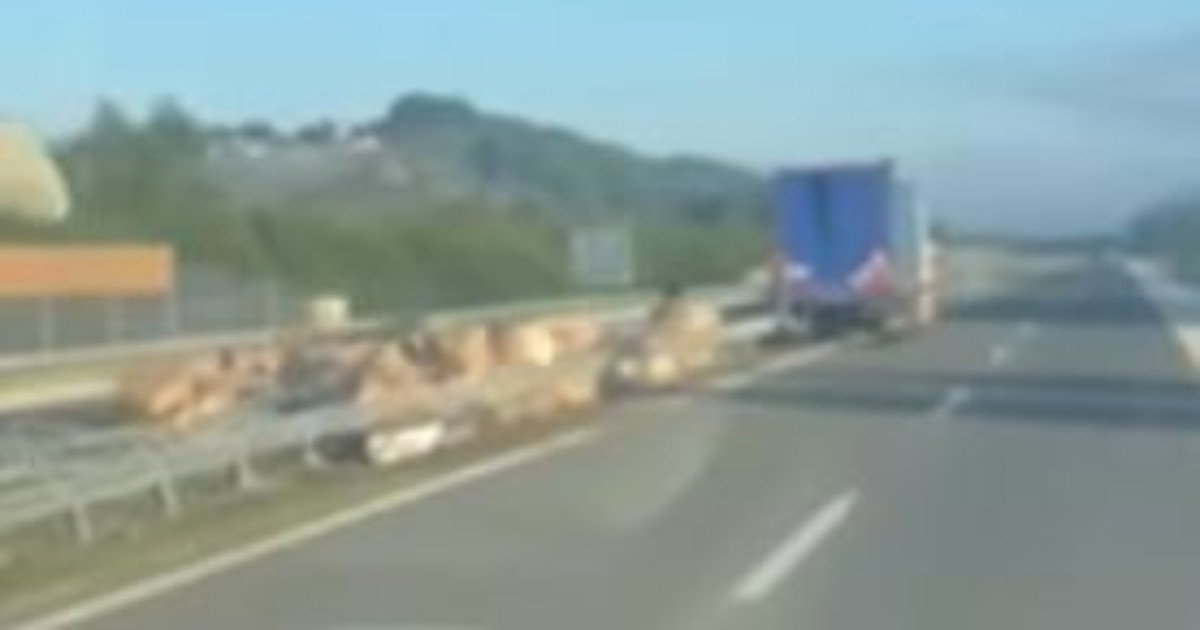 sijeno na autoputu