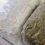 droga marihuana mupzdk