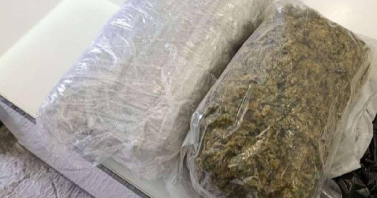 droga marihuana mupzdk