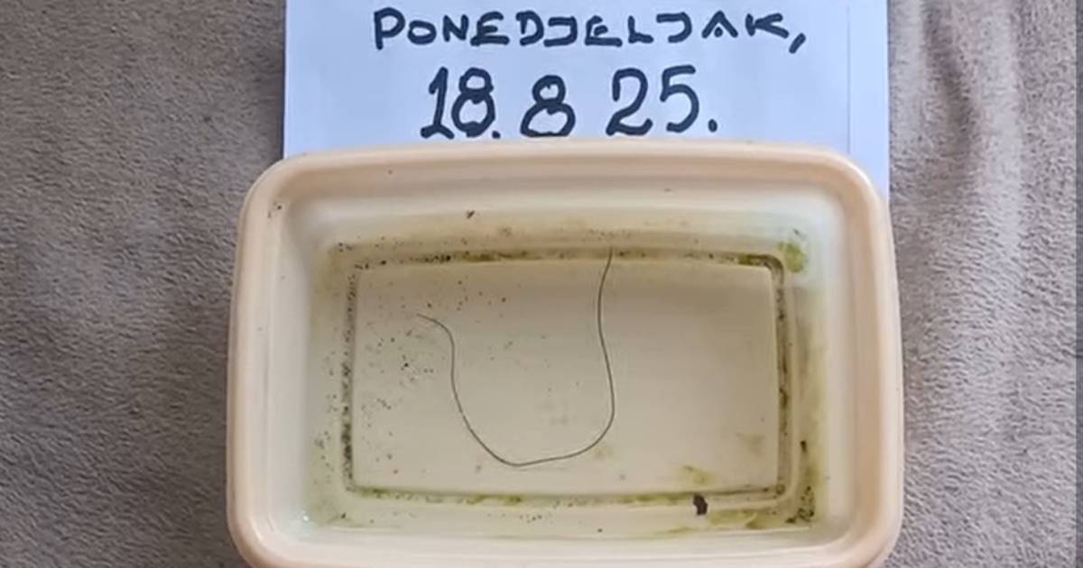 gordius konjska dlaka