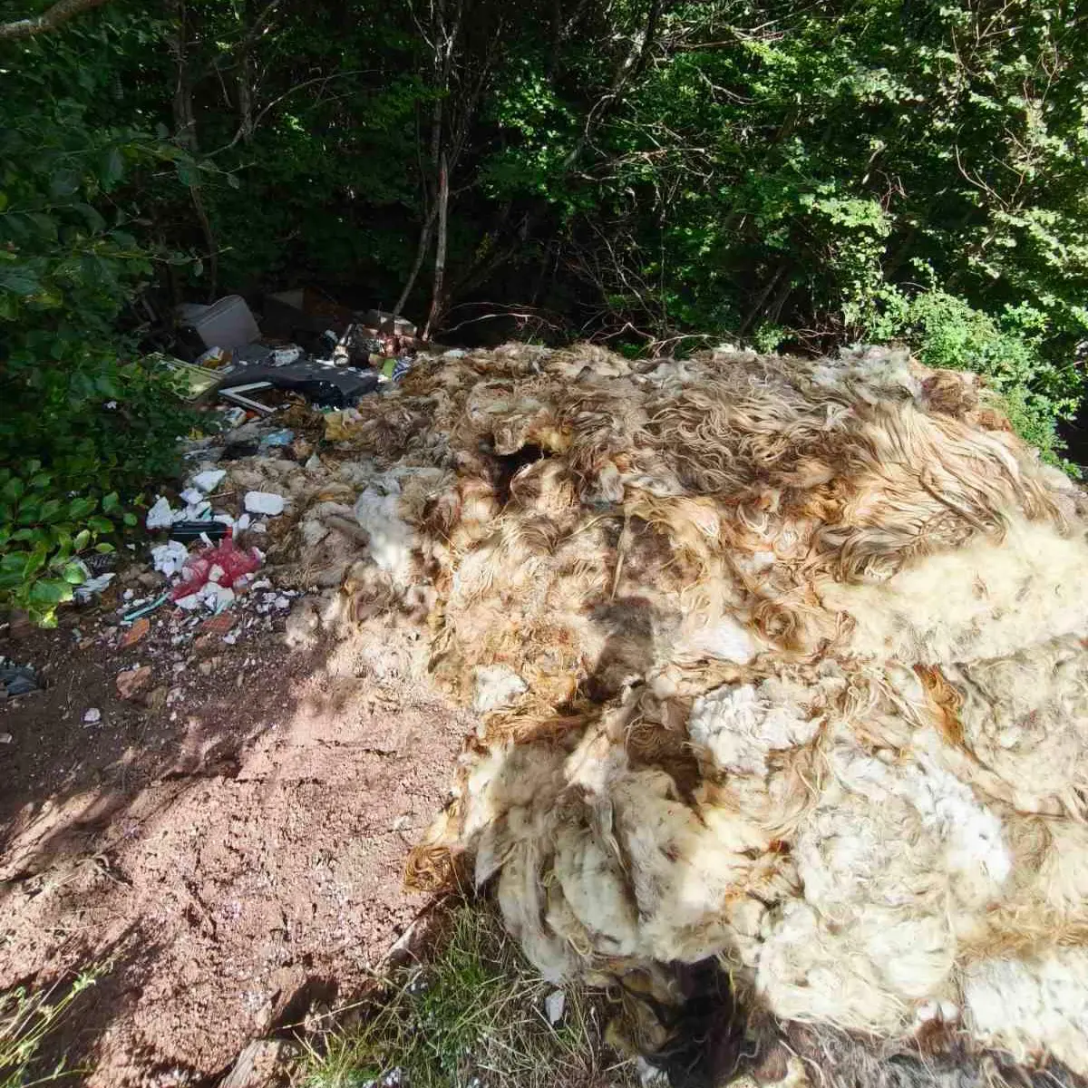 planina visocica selo bobovica zivotinjski otpad