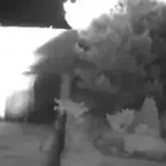 poljska dron