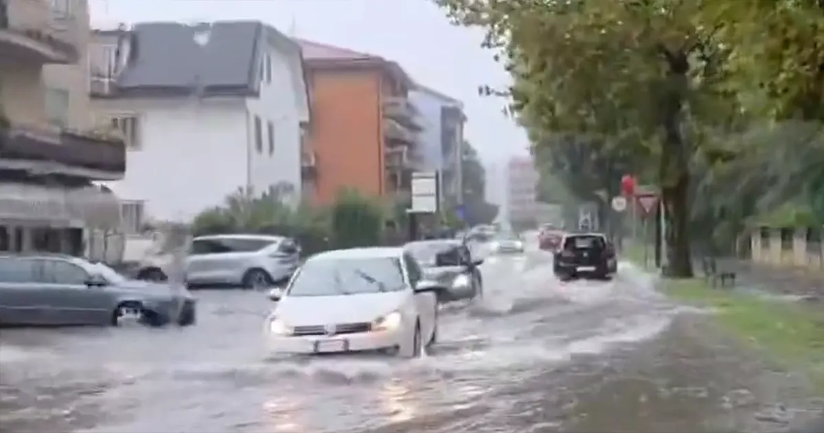 poplave
