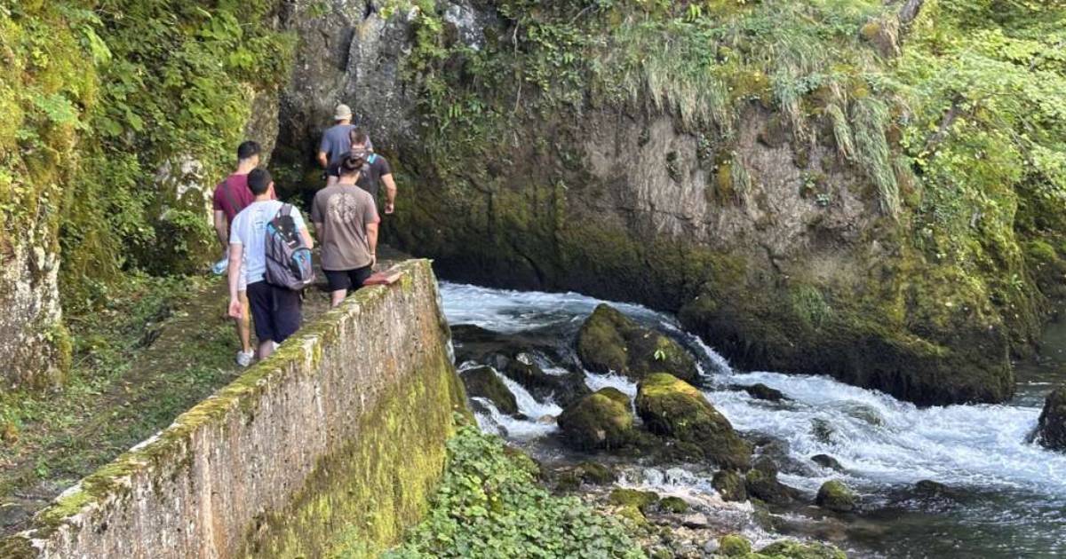 sanica
