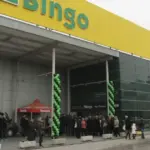 bingo stup