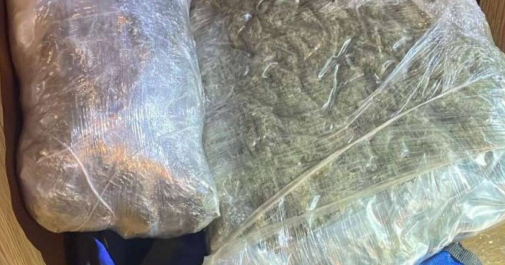 droga marihuana