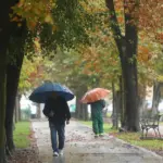 vilsonovo šetalište ljudi s kišobrania