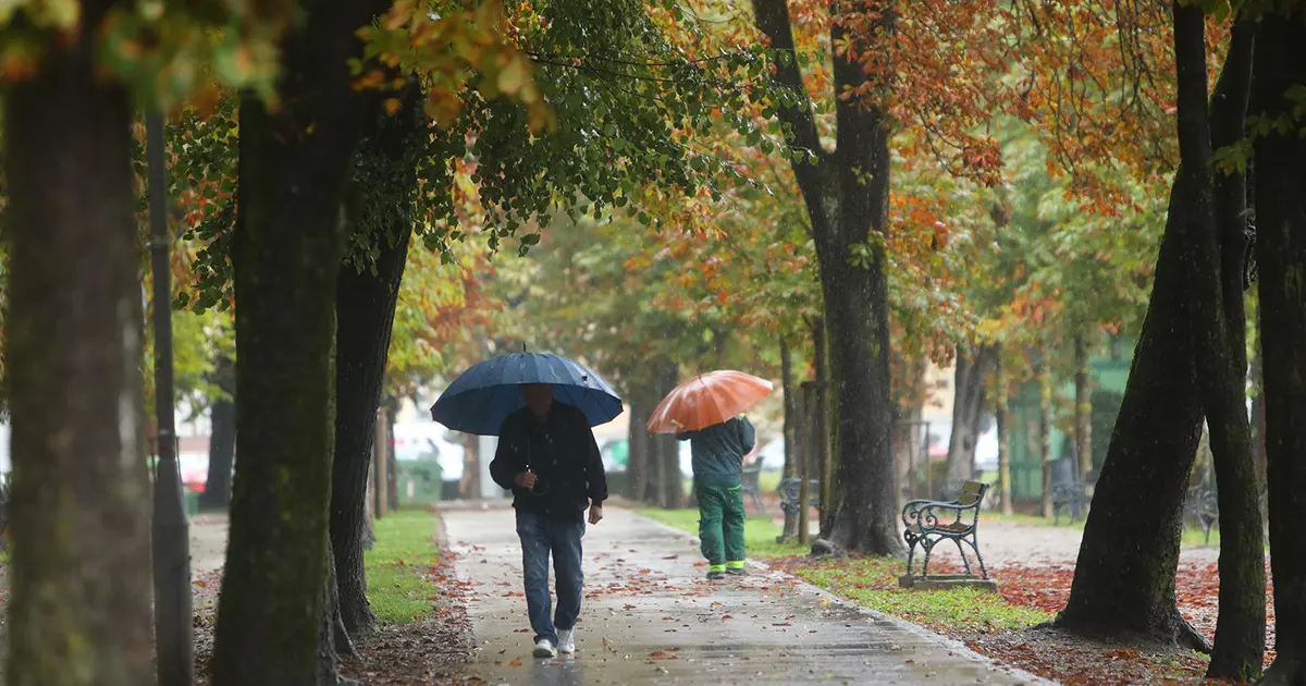 vilsonovo šetalište ljudi s kišobrania