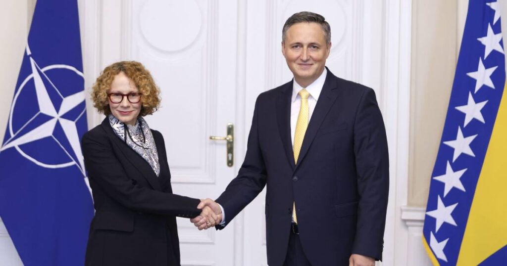 radmila sekerinska denis becirovic