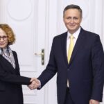 radmila sekerinska denis becirovic