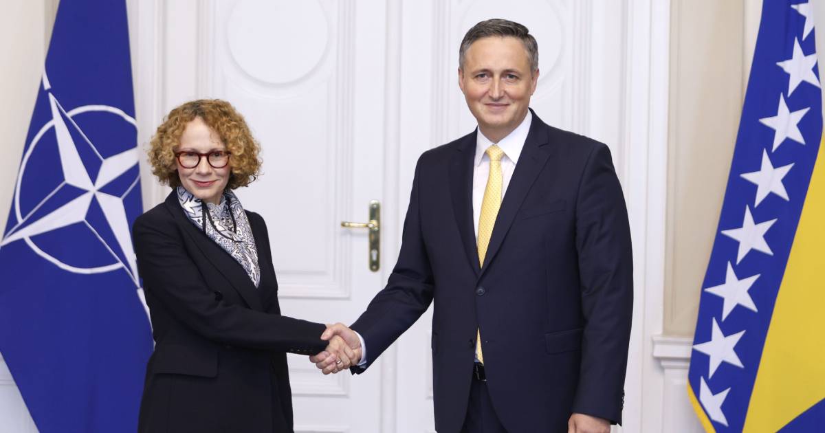 radmila sekerinska denis becirovic