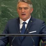zeljko komsic