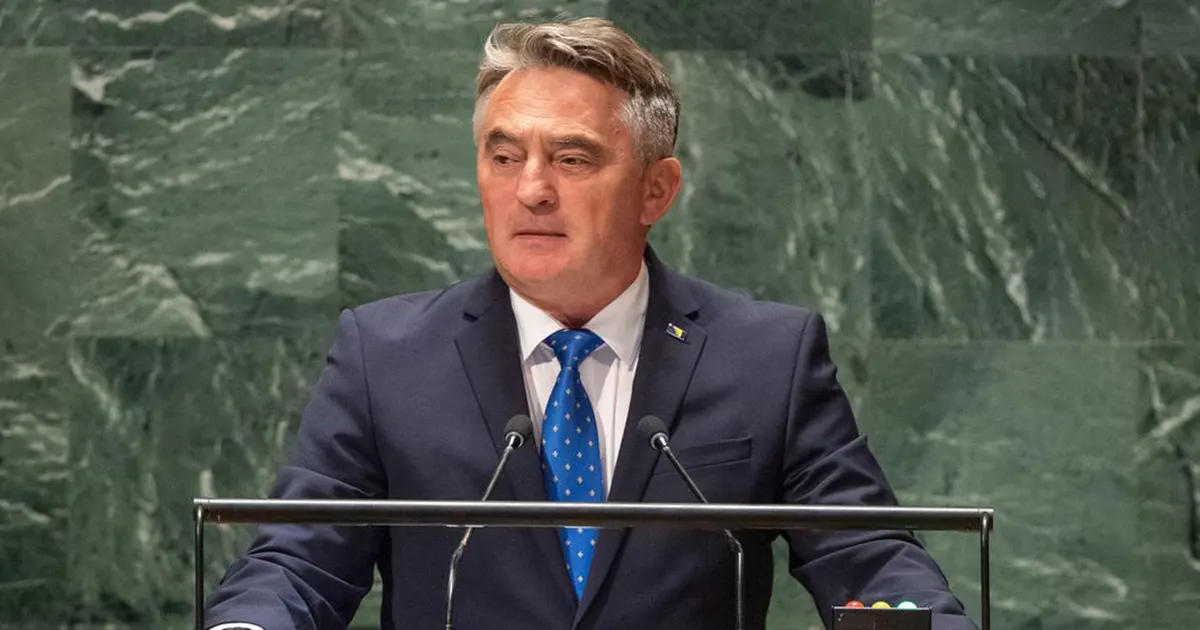 zeljko komsic