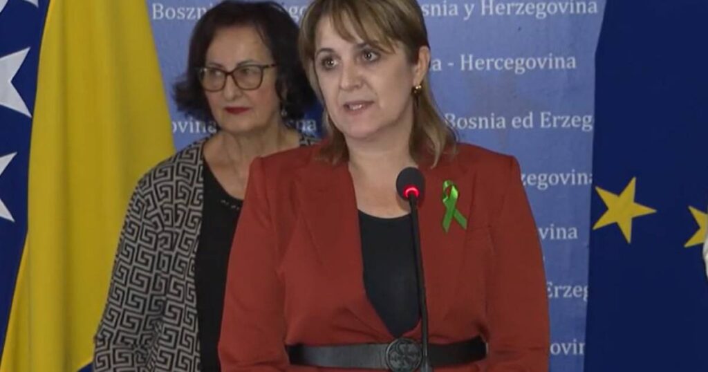Branka Vasiljević Todorović