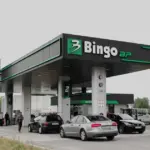 bingo pumpa