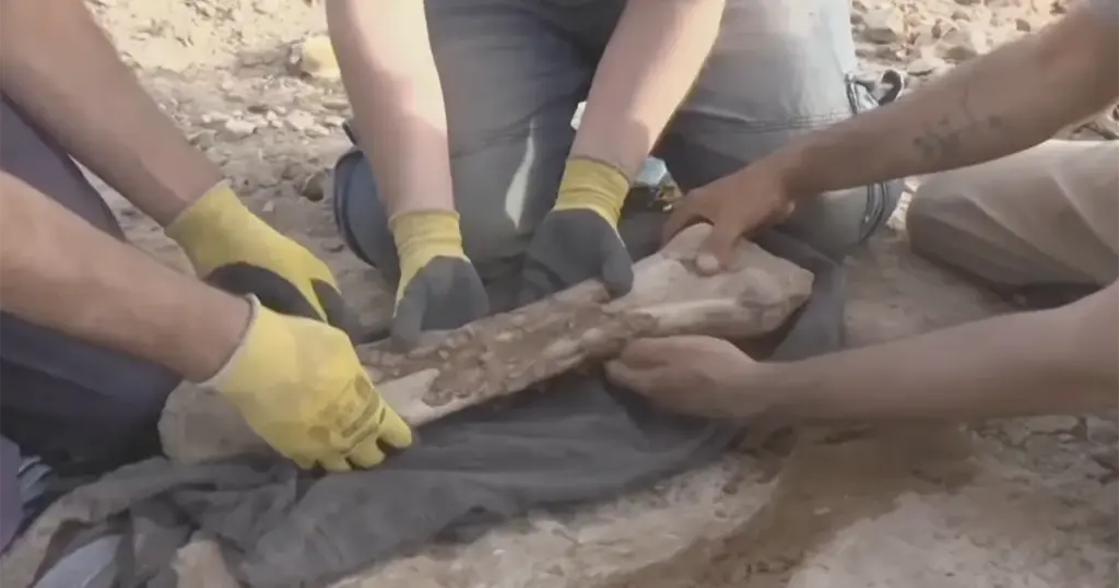 Pronađen jedan od najstarijih dinosaurusa, naučnici objasnili kako je izgledao
