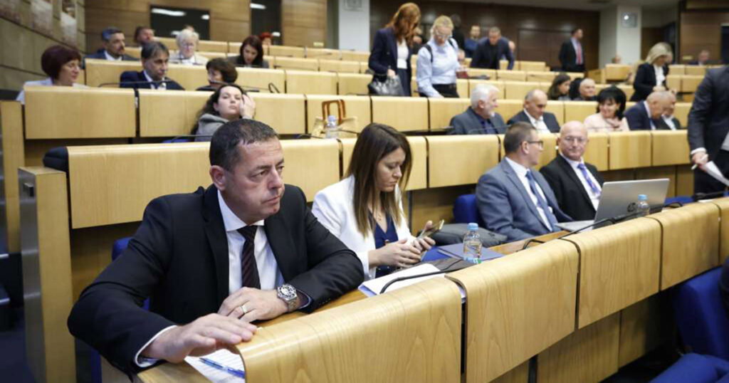 Kakvi su stavovi parlamentaraca uoči vanredne sjednice Doma naroda o Južnoj interkonekciji